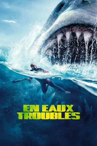 Affiche de En eaux troubles