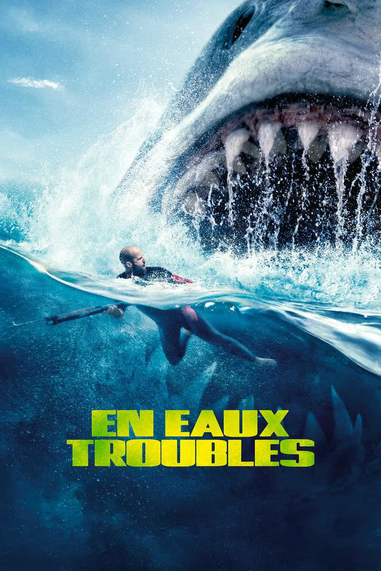 Affiche de En eaux troubles