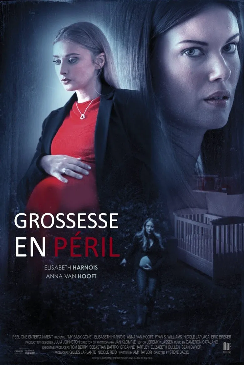 Affiche de Grossesse en péril
