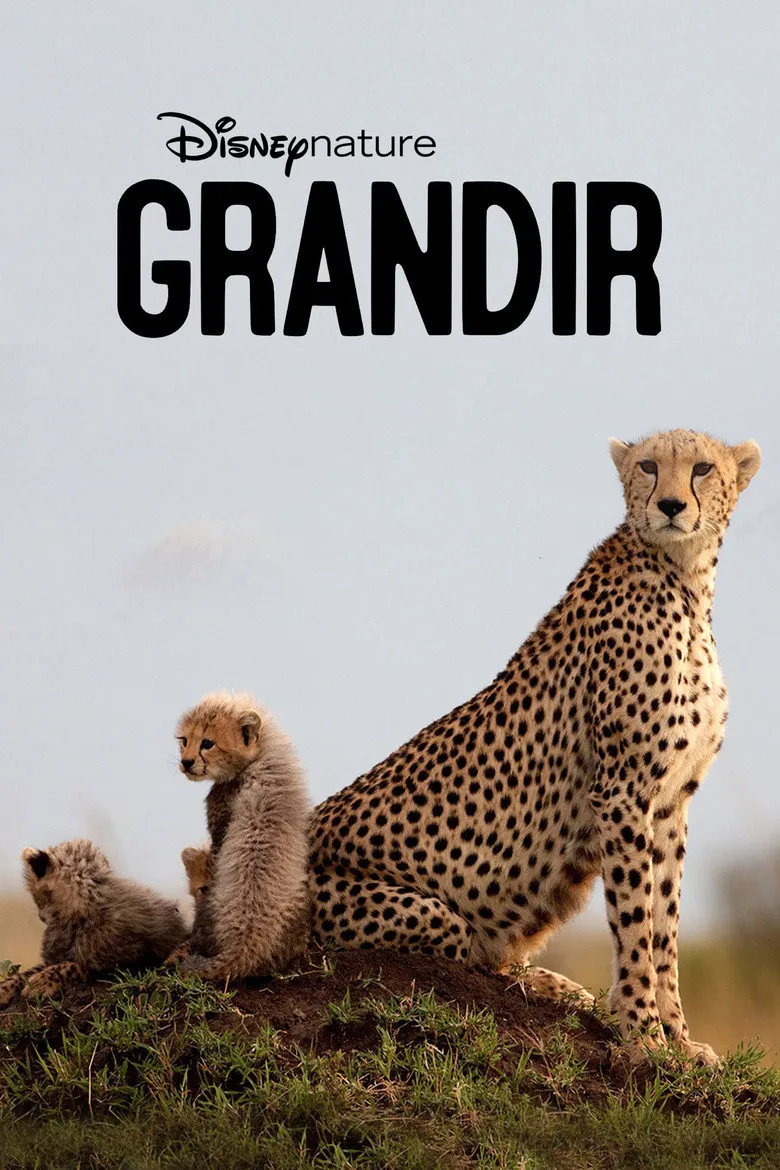 Affiche de Grandir