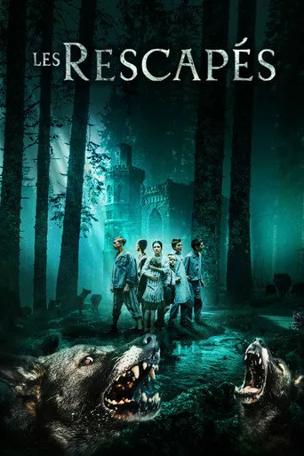 Affiche de Les Rescapés