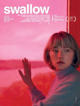 Affiche de Swallow