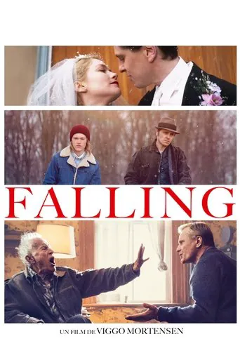 Affiche de Falling