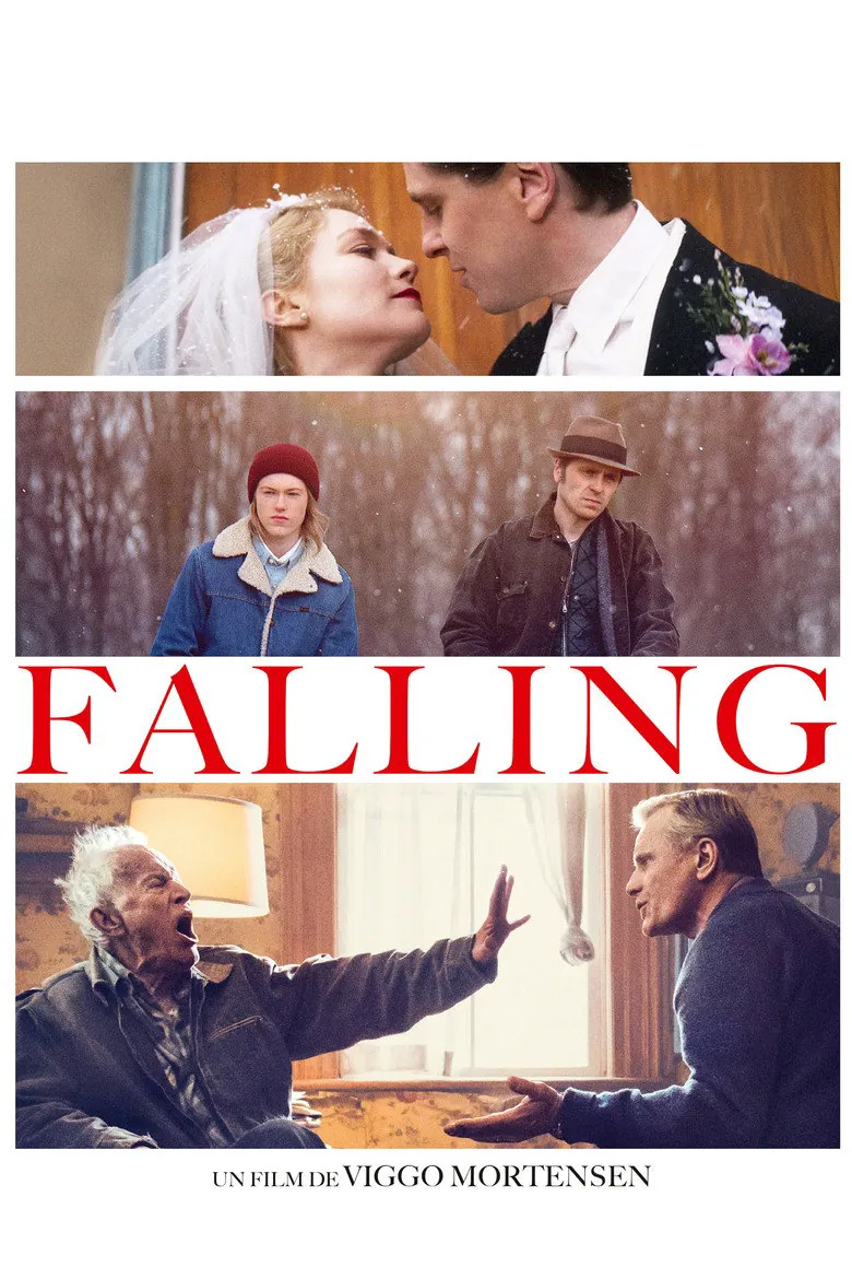 Affiche de Falling