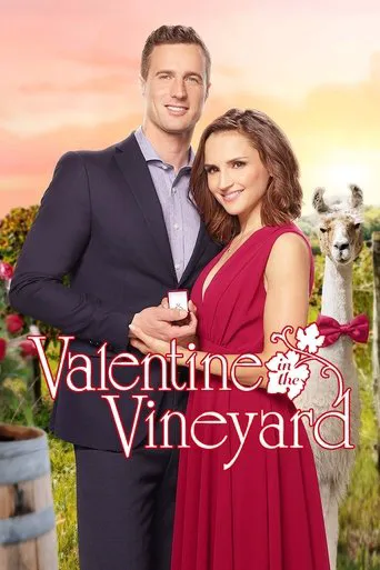 Affiche de Une idylle de Saint-Valentin
