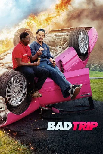 Affiche de Bad Trip