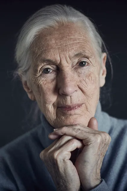 Portrait de Jane Goodall
